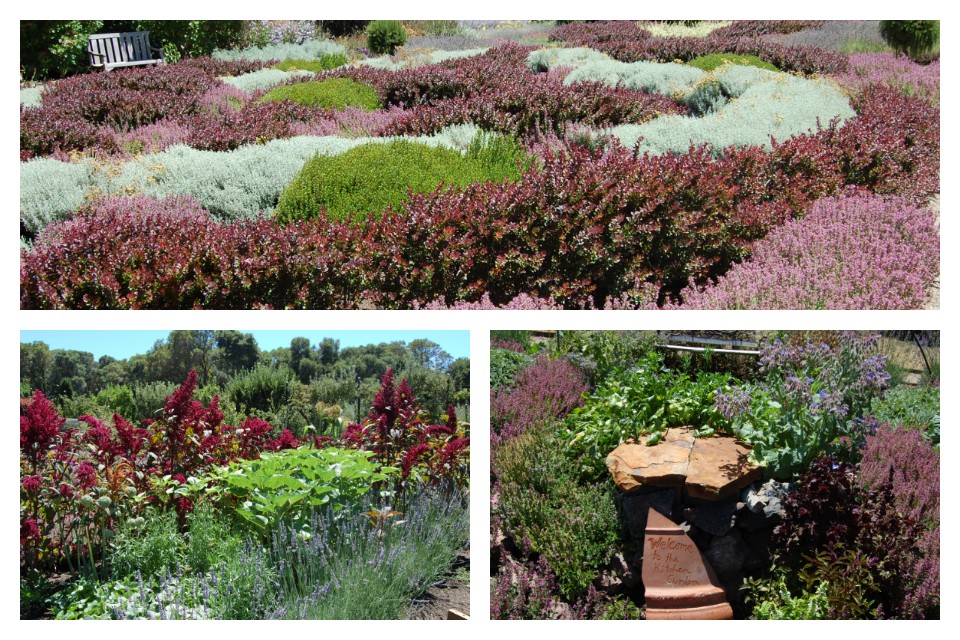 Filoli Knot and Kitchen Garden Collage