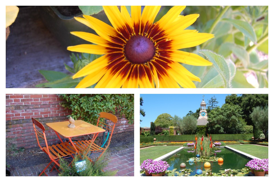Filoli Yellow and Orange Collage 2
