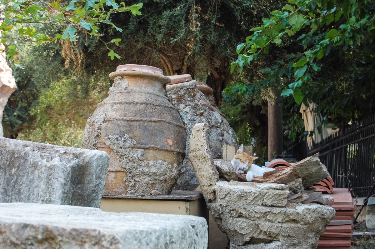 cat-grooming-in-pottery-artifacts-in-plaka