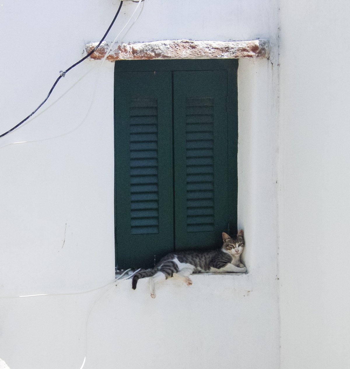 cat-in-window-in-paros