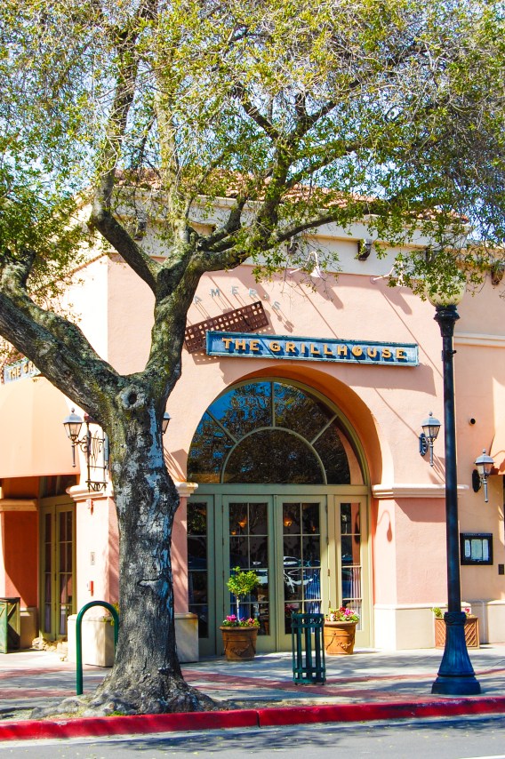 Los Gatos Doors 6_edited