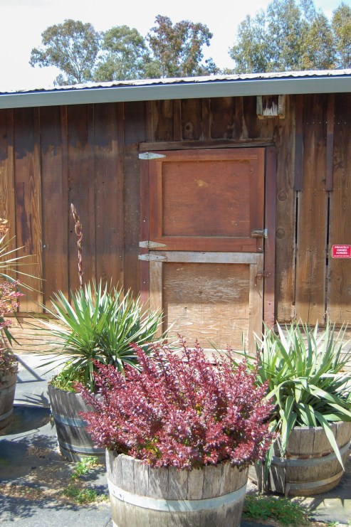 Cooper-Garrod Barn Door 1_edited