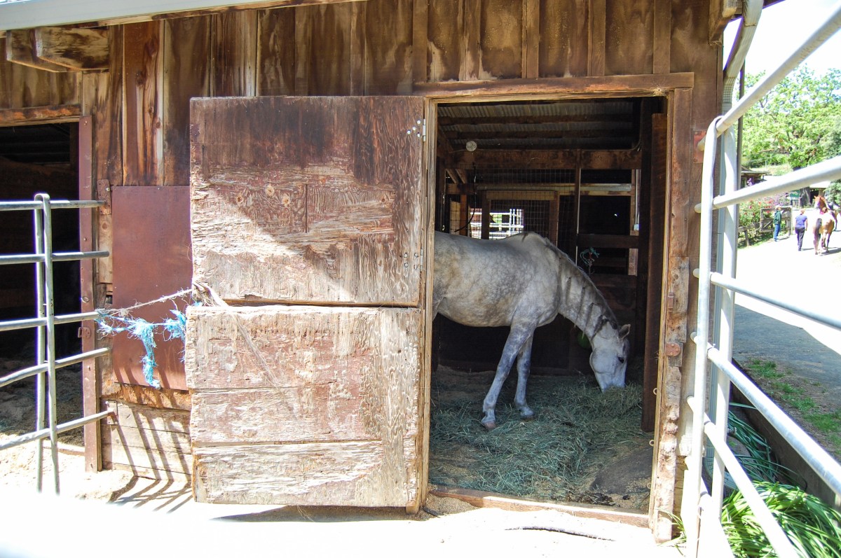 Cooper-Garrod Stable Door 3_edited