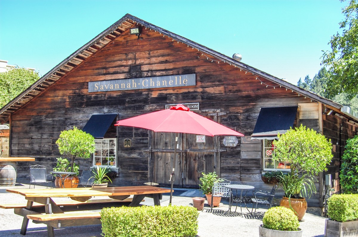 Savannah Chanelle 3_edited