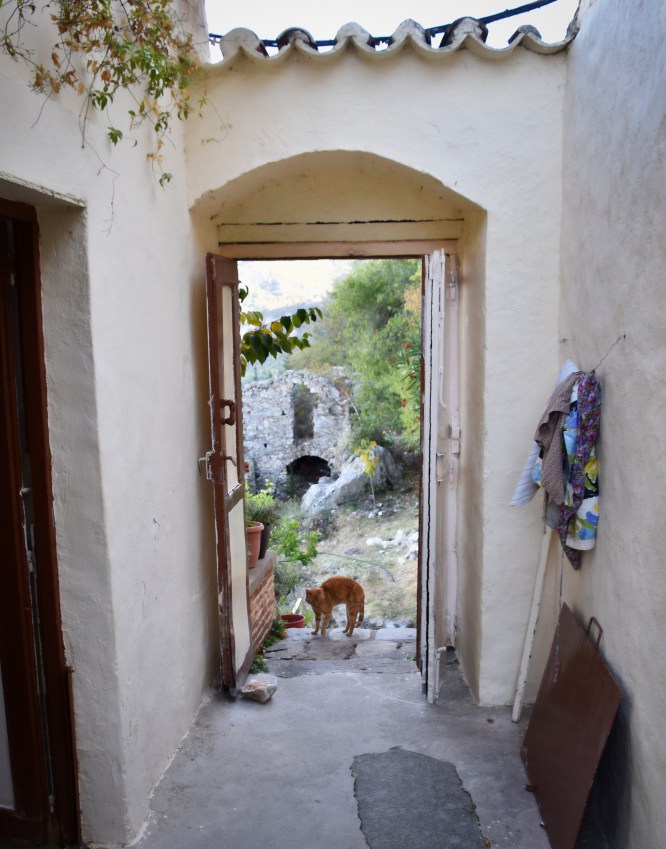 Mystras Cat L