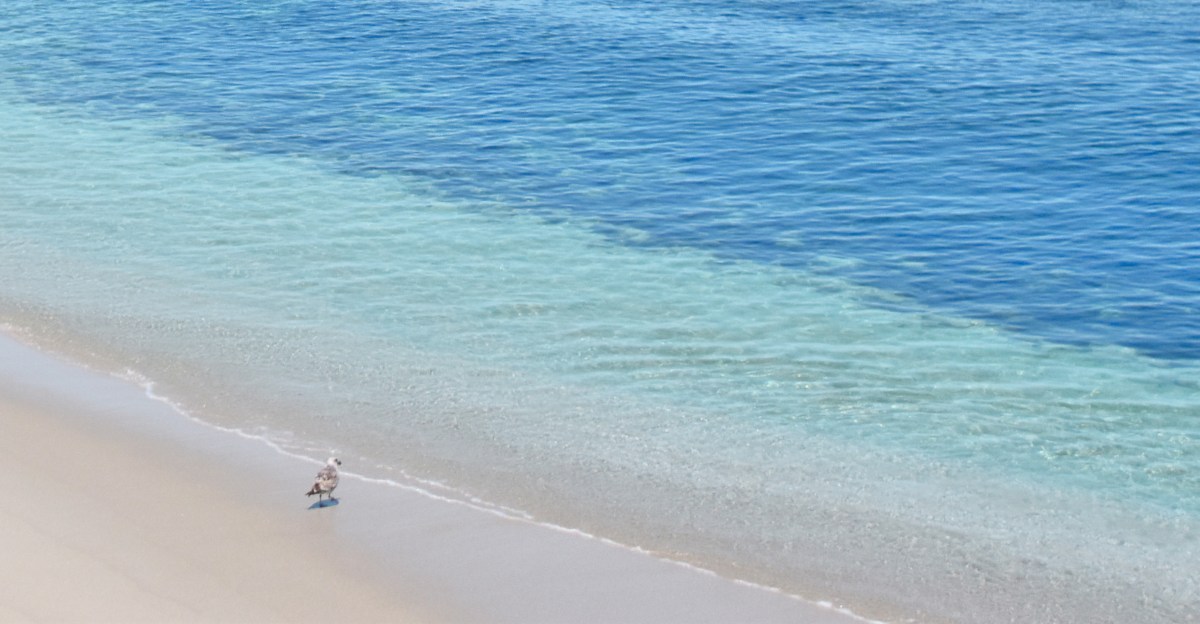 Pacific Grove, California