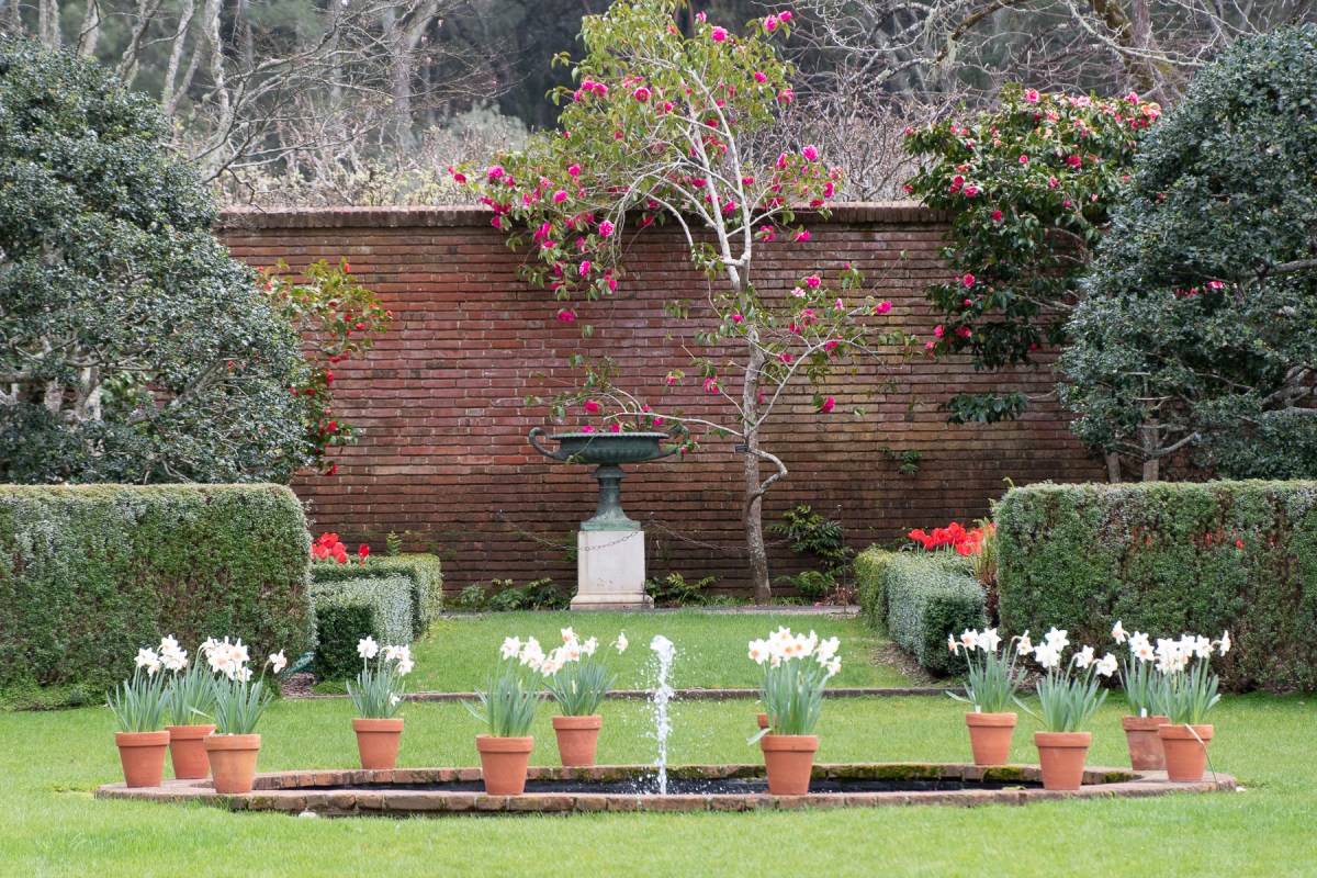 Filoli Gardens 1
