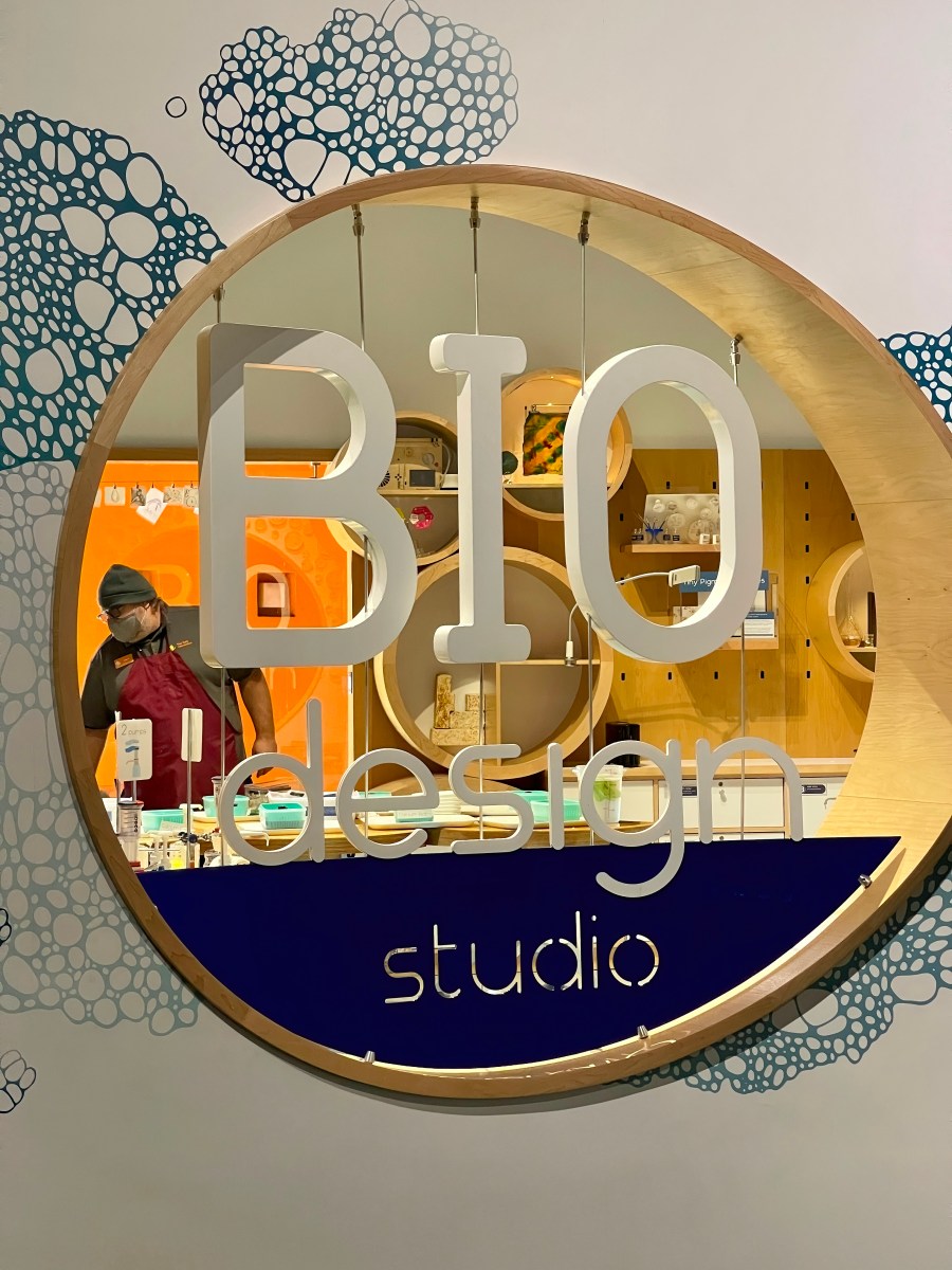 The Tech Interactive – Capturing Moments