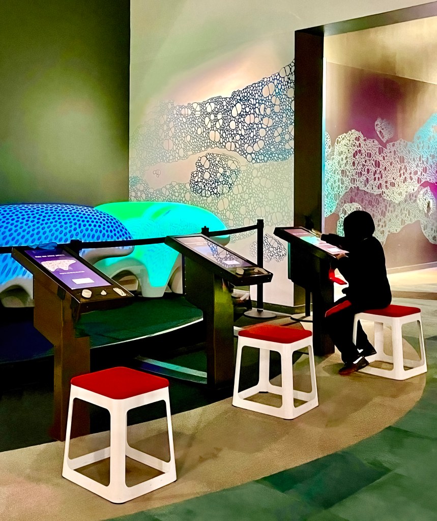 The Tech Interactive – Capturing Moments
